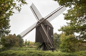 Bockwindmühle Riddagshausen. Foto: Peter Sierigk