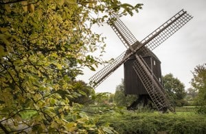 Bockwindmühle Riddagshausen. Foto: Peter Sierigk