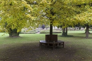 Klostergarten Riddagshausen. Foto: Peter Sierigk