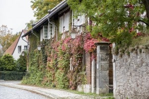 Klostergang Lange Reihe 62 (Sozialwohnungen) Riddagshausen. Foto: Peter Sierigk