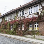 Riddagshausen. Foto: Peter Sierigk