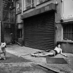 Two White Bitches. Foto: Dokumentation