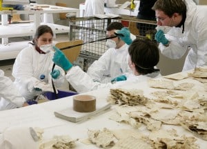 Beispiel für Förderprojekt der Kulturstiftung der Länder: Freiwillige Helfer bei der Erstversorgung geborgener Archivalien aus dem Historischen Archiv der Stadt Köln. Foto: Stadt Köln Rheinisches Bildarchiv