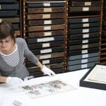 Beispiel für Förderprojekt der Hermann Reemtsma Stiftung: Restauratorin Doreen Küberling im Archiv des Hamburg Museums. Foto: Hamburg Museum