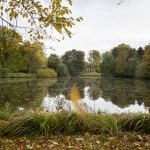 Bürgerpark. Foto: Peter Sierigk