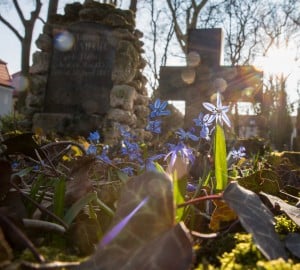 Petri-Friedhof. Foto: Peter Sierigk