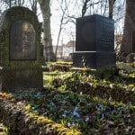 Petri-Friedhof. Foto: Peter Sierigk