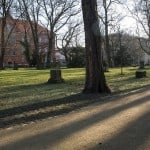 Martini-Friedhof. Foto: Peter Sierigk