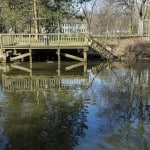 Neustadtmühlengraben. Foto: Peter Sierigk