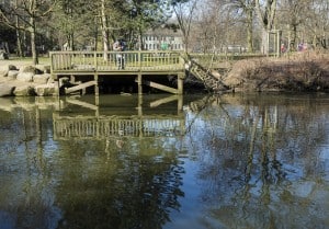 Neustadtmühlengraben. Foto: Peter Sierigk