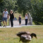 Löbbeckes Insel. Foto: Peter Sierigk