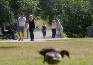 Löbbeckes Insel. Foto: Peter Sierigk