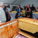 Imker Hans-Georg Picker zeigt das Innenleben des Bienenhauses. Foto: Andreas Greiner-Napp
