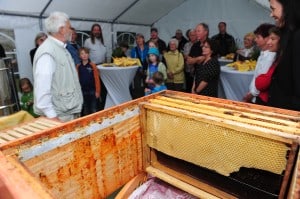 Imker Hans-Georg Picker zeigt das Innenleben des Bienenhauses. Foto: Andreas Greiner-Napp