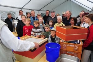 Ganz unten im Bienenhaus befindet sich ein Rost, durch den Dreck fallen kann. Foto: Andreas Greiner-Napp