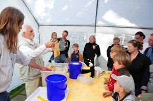 Imker Hans-Georg Picker präsentiert einen vollen Rahmen. Beim Schauschleudern wurden gestern sechs Kilogramm Honig geernet. Foto: Andreas Greiner-Napp