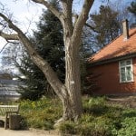 Das Flößerhaus im Botanischen Garten dient als Forschungslabor. Foto: TU