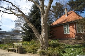 Das Flößerhaus im Botanischen Garten dient als Forschungslabor. Foto: TU