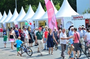 Jede Menge Informationen über das Braunschweigische Land gab es an den Ständen entlang der Festmeile. Foto: Andreas Greiner-Napp