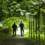 Ein Spaziergang durch das Arboretum lohnt sich. Unser Bild zeigt den Kornelkirschen-Gang. Foto: Peter Sierigk