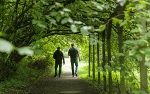 Ein Spaziergang durch das Arboretum lohnt sich. Unser Bild zeigt den Kornelkirschen-Gang. Foto: Peter Sierigk