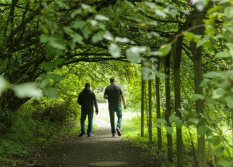 Ein Spaziergang durch das Arboretum lohnt sich. Unser Bild zeigt den Kornelkirschen-Gang. Foto: Peter Sierigk