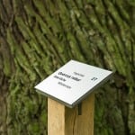 Eine neue Beschilderung der Bäume trägt zur Steigerung der Attraktivität bei. Foto: Peter Sierigk