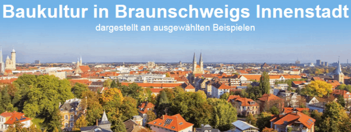 Die Silhouette Braunschweigs führt in die Internetseite ein.