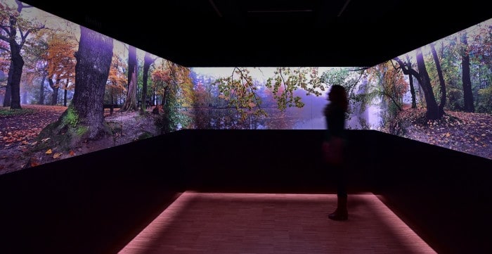 Blick auf die Foto-Licht-Ton-Installation, mit der Jahres- und Tageszeiten im Naturschutzgebiet Riddagshausen simuliert werden. Foto: Andreas Greiner-Napp