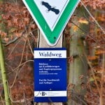 Die Stiftung Braunschweigischer Kulturbesitz ist einer der größten Waldbesitzer in Niedersachsen. Foto: Andreas Greiner-Napp