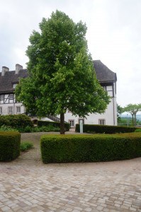Blick entlang des Schlosses von der Terrasse aus. Foto: Die Braunschweigische Stiftung