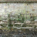 Die Durchwurzelungsschäden vor der Sanierung (2014). Foto: Stadt Braunschweig