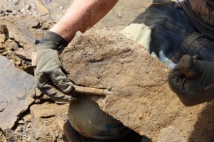 Herauslösen von Fossilienfundstücken aus einer Schieferplatte. Foto: SNHM