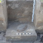 Das Rippenfragment von der Fundstelle Schöningen 13 II (Verlandungsfolge 2) in Fundlage. Foto: Jens Lehmann, Niedersächsisches Landesamt für Denkmalpflege.