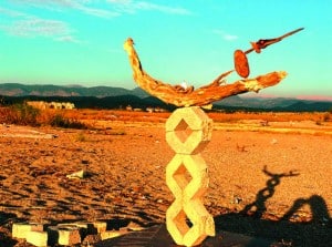 Foto aus der Ausstellung „Fluggepäck. Entdeckungen am Weg und Strand“ in der Kleinen Galerie im Tilly-Haus Salzgitter.