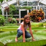 Tanja Hodler testet die Tragkraft eines Victoriablattes. Foto: TU