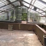 Blick in das geräumte marode Victoriagewächshaus. Foto: TU