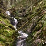 Der wild-romantische Nabetaler Wasserfall. Foto: Stiftung Braunschweigischer Kulturbesitz/Andreas Greiner-Napp