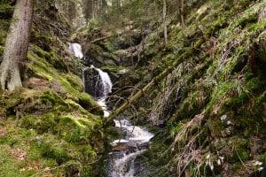 Der wild-romantische Nabetaler Wasserfall. Foto: Stiftung Braunschweigischer Kulturbesitz/Andreas Greiner-Napp