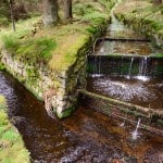 Die Wiege des Dammgrabens und die Große Oker (rechts). Foto: Stiftung Braunschweigischer Kulturbesitz/Andreas Greiner-Napp