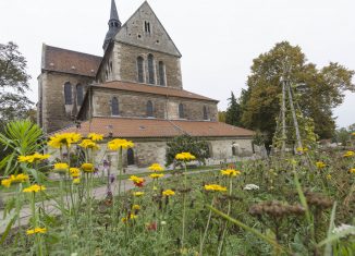 Klosterkirche Riddagshausen. Foto: Peter Sierigk