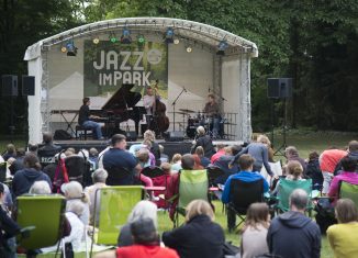 Eine Bühne, eine gute Band, eine schöne Rasenfläche und interessiertes Publikum – mehr braucht es nicht für „Jazz im Park“ (Szene aus 2015). Foto: Braunschweigische Landschaft/Sebastian Schollmeyer