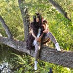 Szene aus „Die Dame am See“. Foto: Tobias Teich