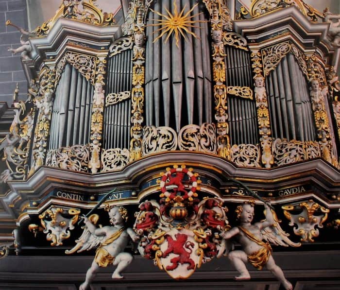 Die Orgel in St. Martini ziert den Bucheinband. Foto: meyermedia