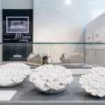Rosettenkopien des neuen Schlosses von einem privaten Leihgeber. Foto: Schlossmuseum/Küstner