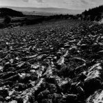 „Frieden“ (1972). Foto: Braunschweigische Landschaft/Heinrich Heidersberger.