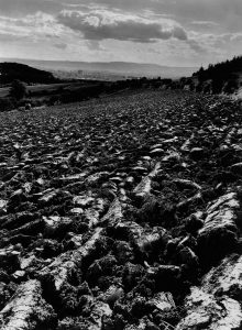 „Frieden“ (1972). Foto: Braunschweigische Landschaft/Heinrich Heidersberger.