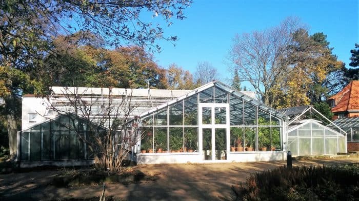 Das neue Gewächshaus im Botanischen Garten für die Victoria-Seerose dient aktuell noch als Überwinterungsquartier für andere Pflanzen. Foto: Botanischer Garten