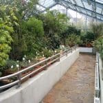 Quartier für andere Pflanzen im Winter 2018. Foto: Botanischer Garten