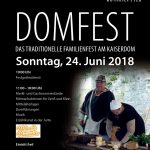 Das Plakat zum 38. Domfest. Foto: SBK